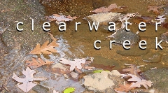 Clearwater Creek
